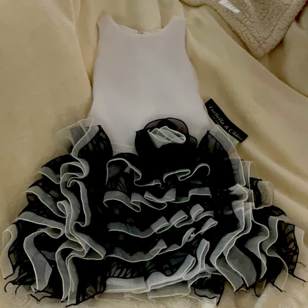 Isobella &Chloé dressy dress